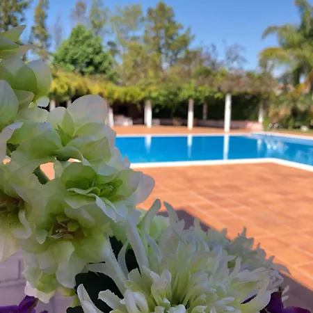 Magnolia Villa