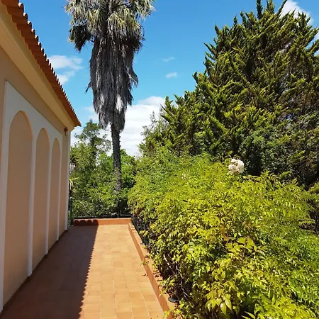 Magnolia * Almada